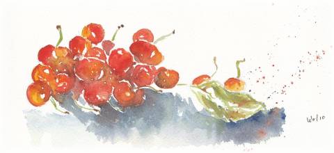 Cherries