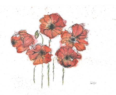 Poppys