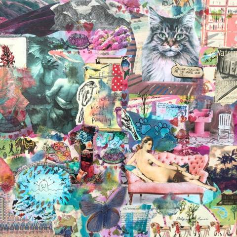 La belle vie de l odalisque